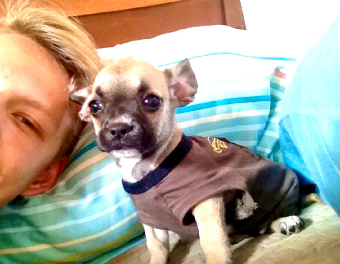 Puppy Alyonka in a little sweater with the youngest son