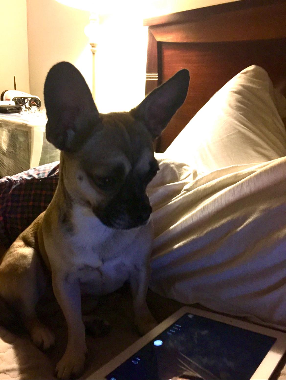 Adult Alyonka on the master bed