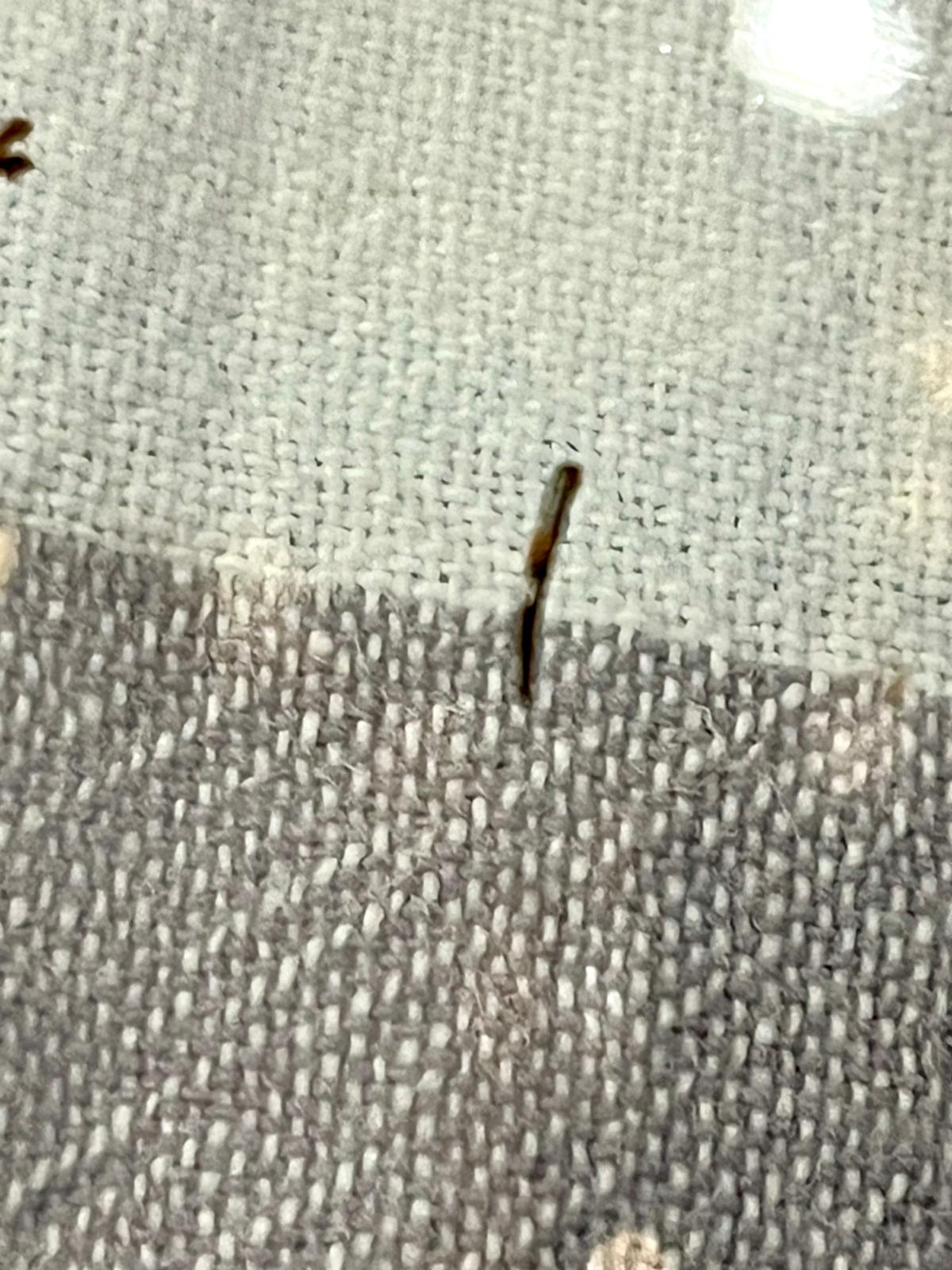 The tiny headless forged pin, extracted, in close-up