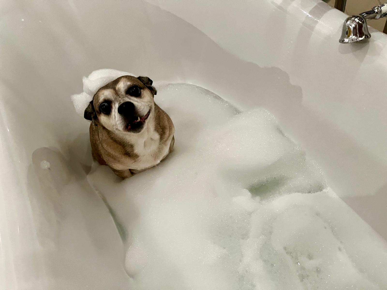 Alyonka smiling in the foam