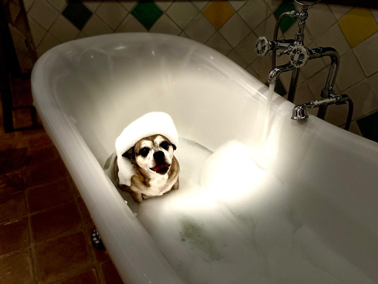 Alyonka wearing a foam cap under running water