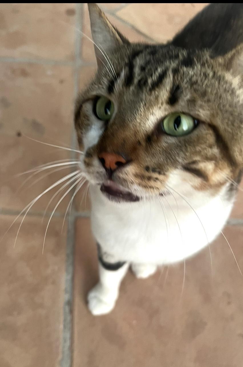 Konstantin looking up, asking for his portion of food