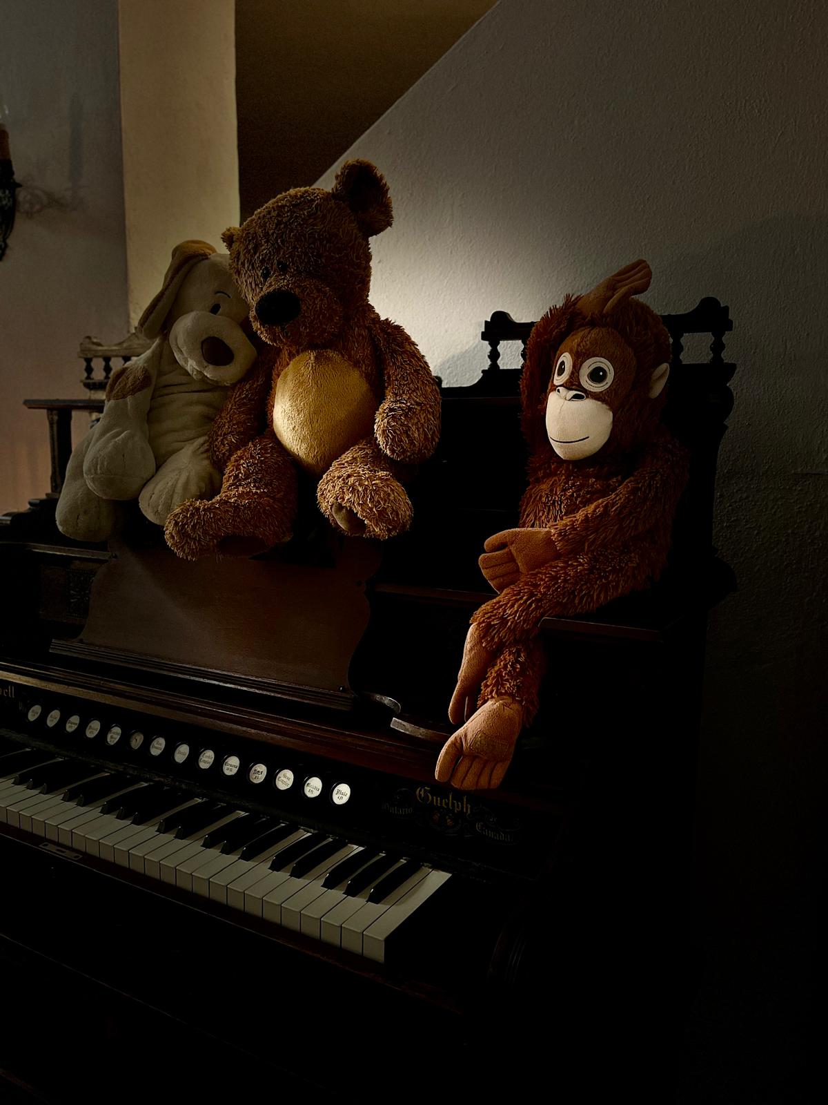 Dog, Bear, and Dolce the Monkey on the Bell harmonium