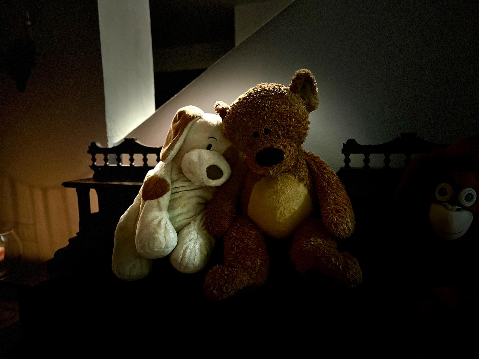 Dog and Bear leaning against each other