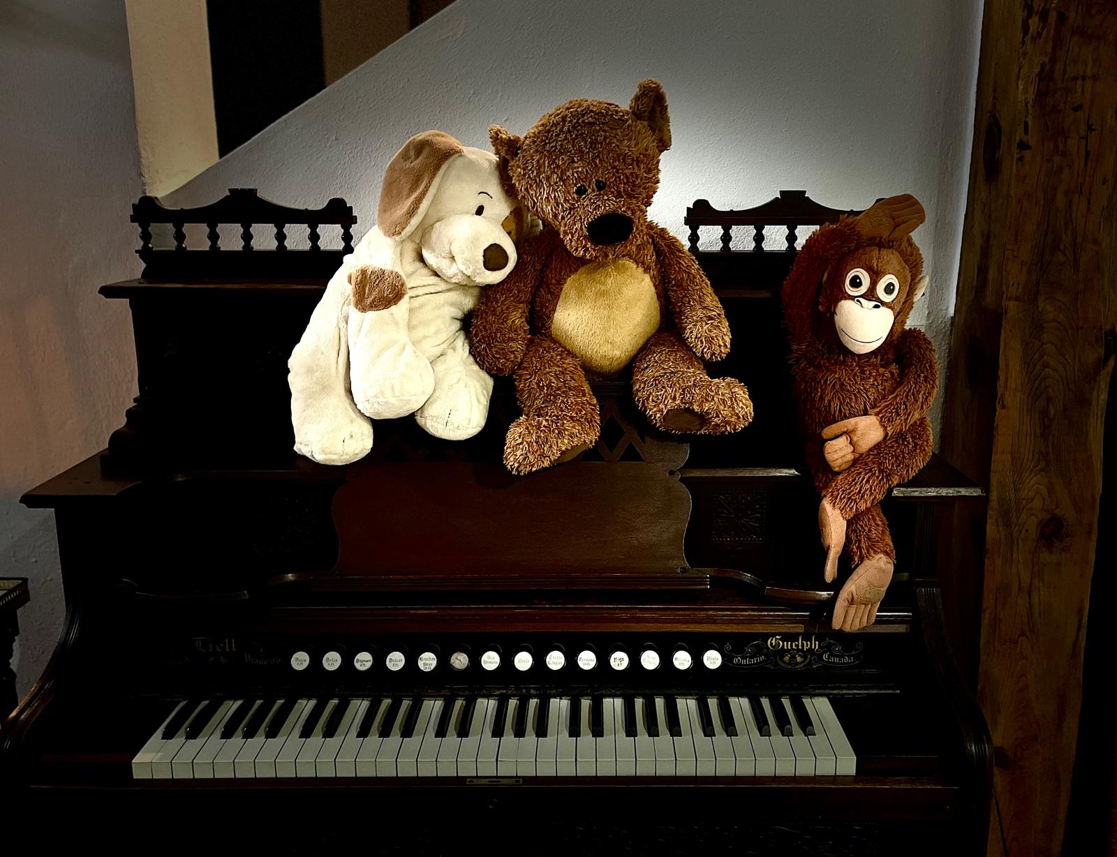 Dog, Bear, and Monkey all together