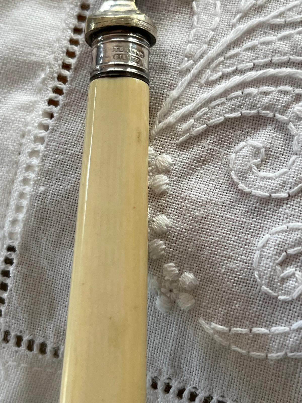 The ivory handle and silver ring, close up